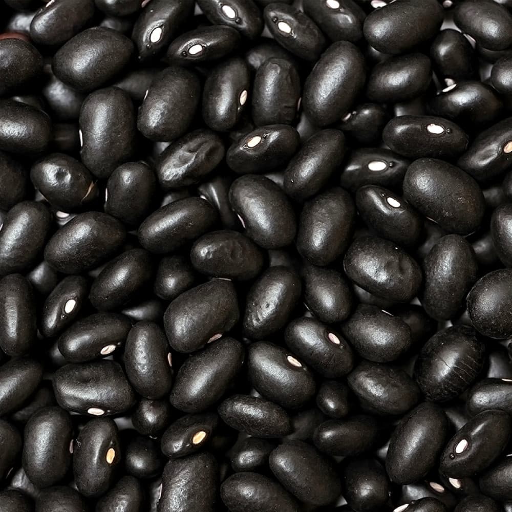 Frijol Negro